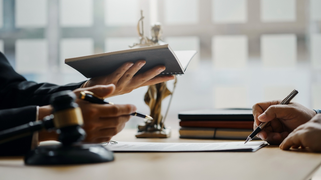 lawyer is consulting with lawyer