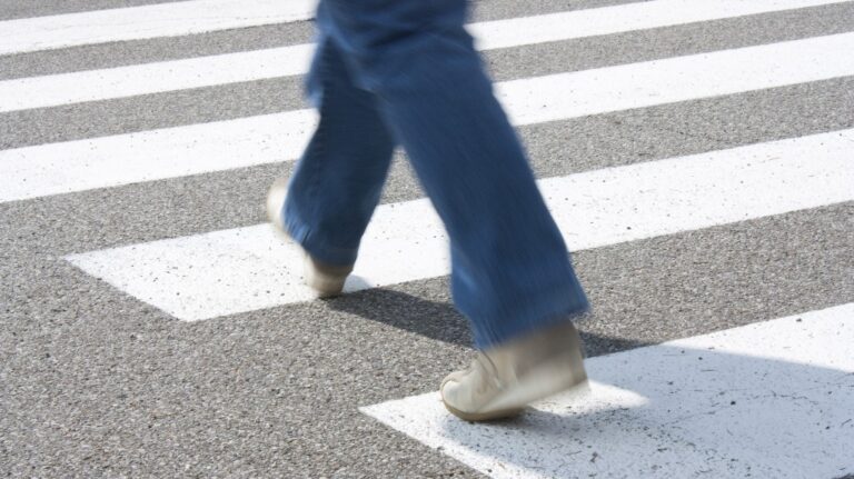 pedestrian while crossing the road at the pedestrian crossing